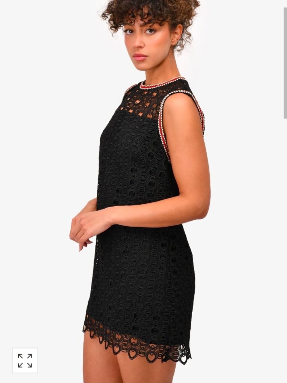 Sandro Eyelet Lace Dress